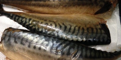 Hladno dimljena skuša: koliko se čuva u frižideru, kod kuće